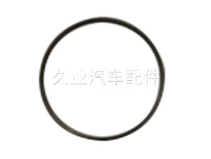 飛輪齒圈
